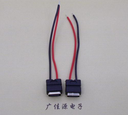 常德type c2p防水母座焊线式带线注塑成型带接线端子/不带接线端子充电连接器